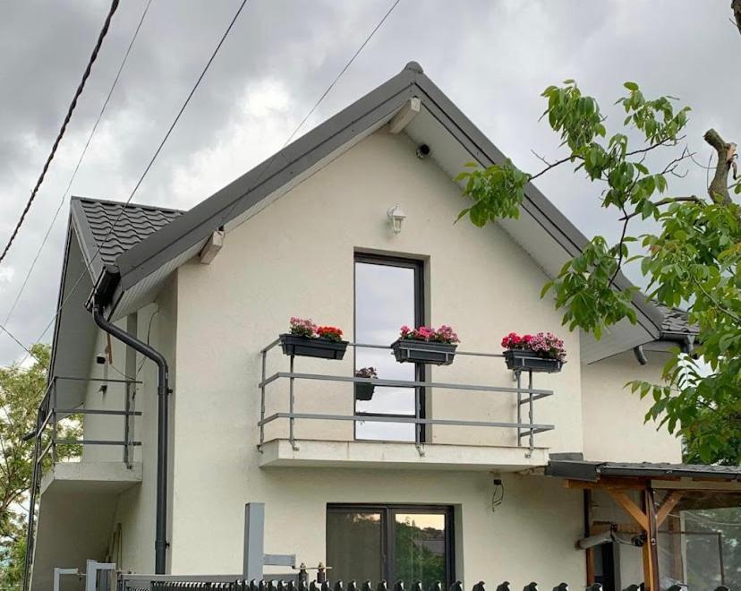 Anastasia'S Villa Iasi Exteriér fotografie